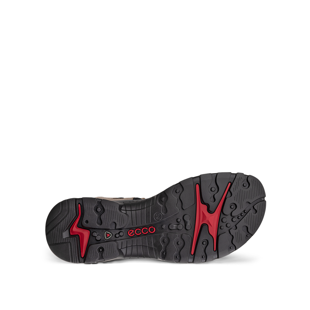Ecco Offroad W Sandal Atmosphere/Ice W./Black Sandal - 06956354695