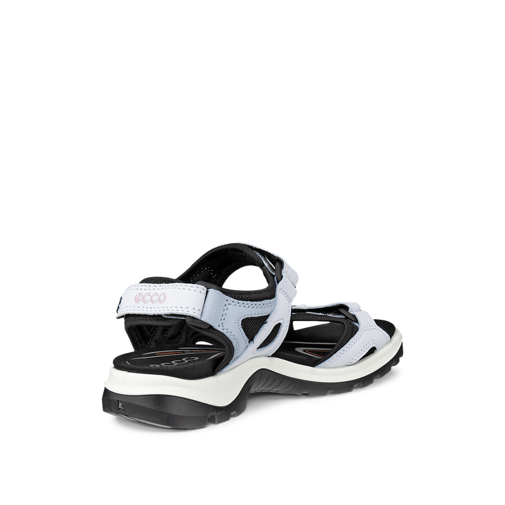 Ecco Offroad W Sandal Air/Dusty Blue Sandal - 06956360563