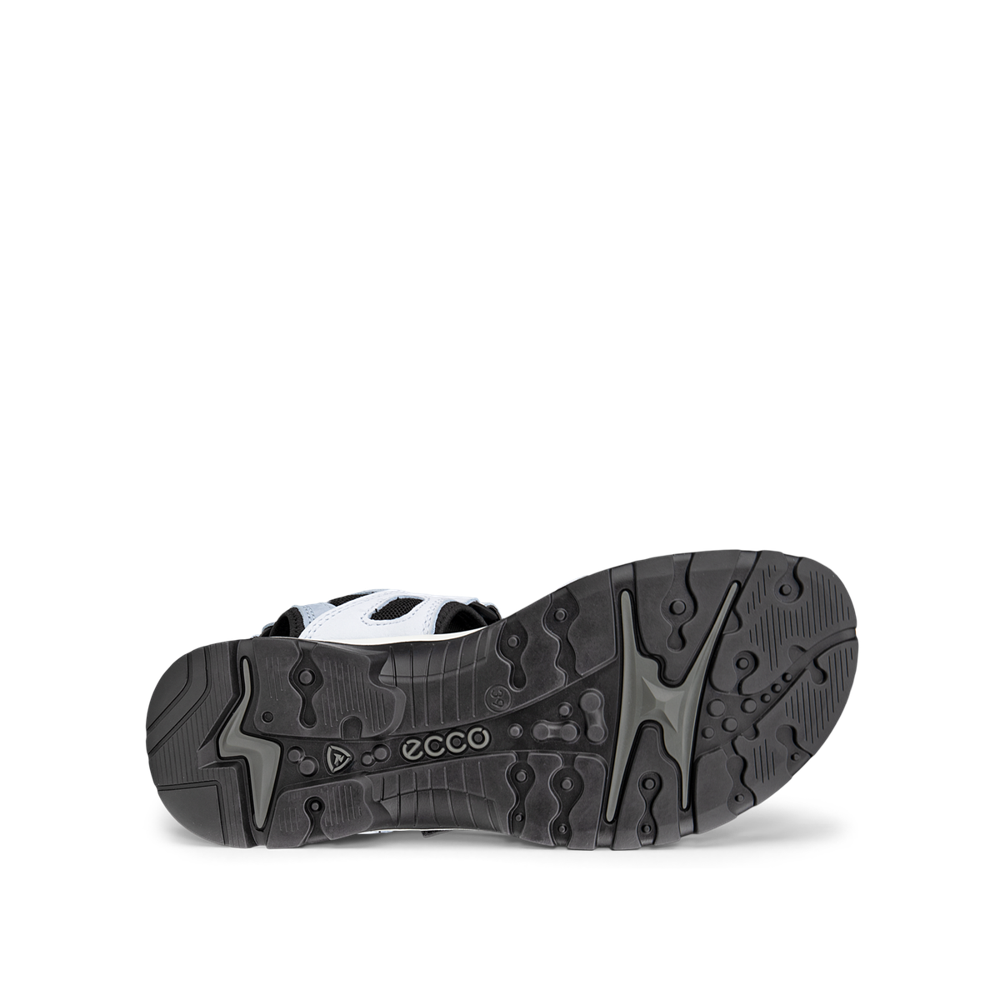 Ecco Offroad W Sandal Air/Dusty Blue Sandal - 06956360563