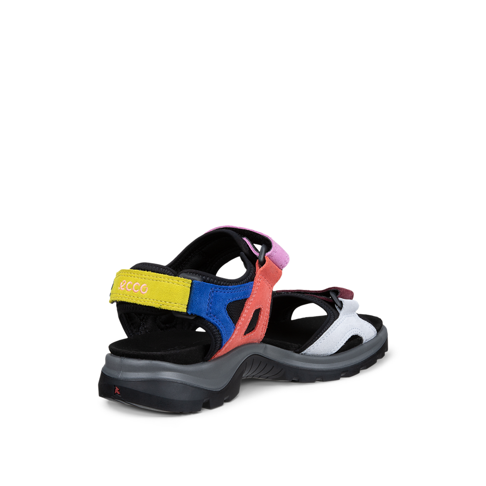 Ecco Offroad W Sandal Multicolor Sandal - 06956361661