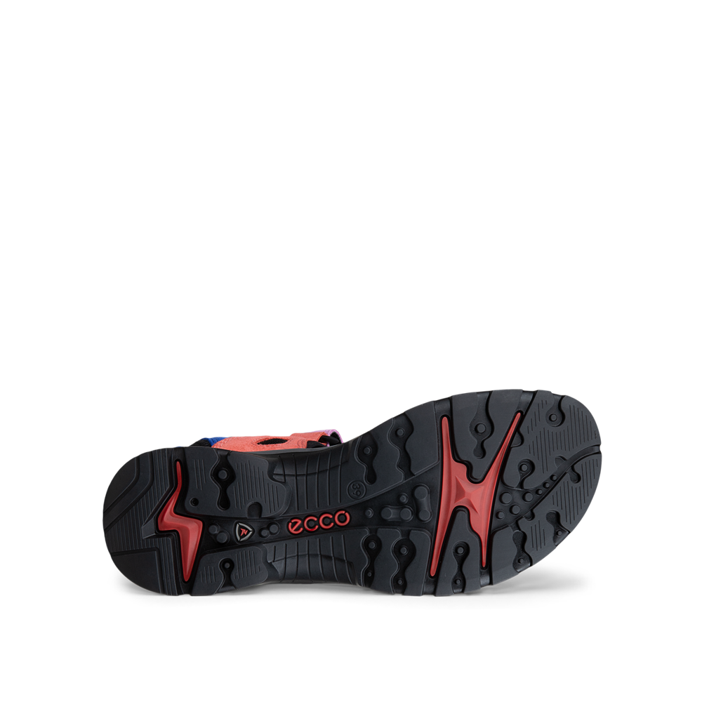 Ecco Offroad W Sandal Multicolor Sandal - 06956361661
