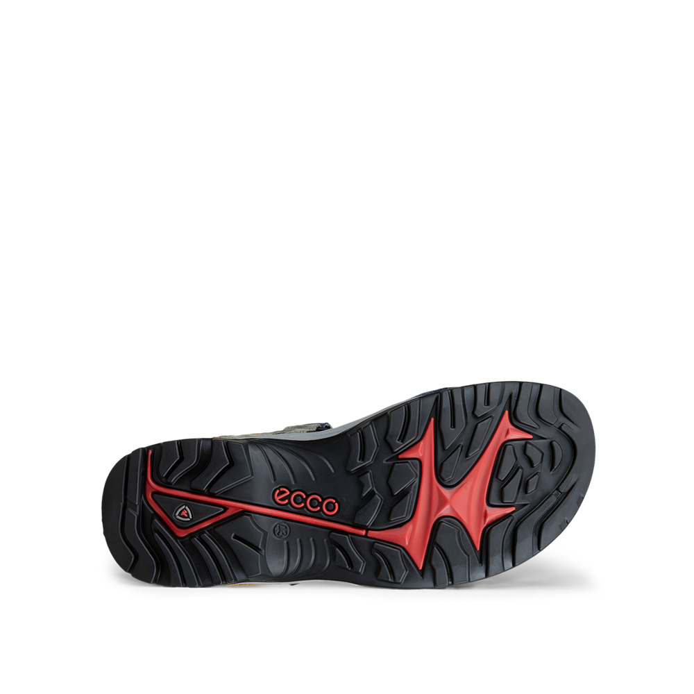 Ecco Mens Yucatan Sandal Multicolor Sandal - 06956455749