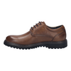 Josef Seibel Erroll 50 Cognac Shoes