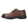 Josef Seibel Erroll 59 Cognac Shoes
