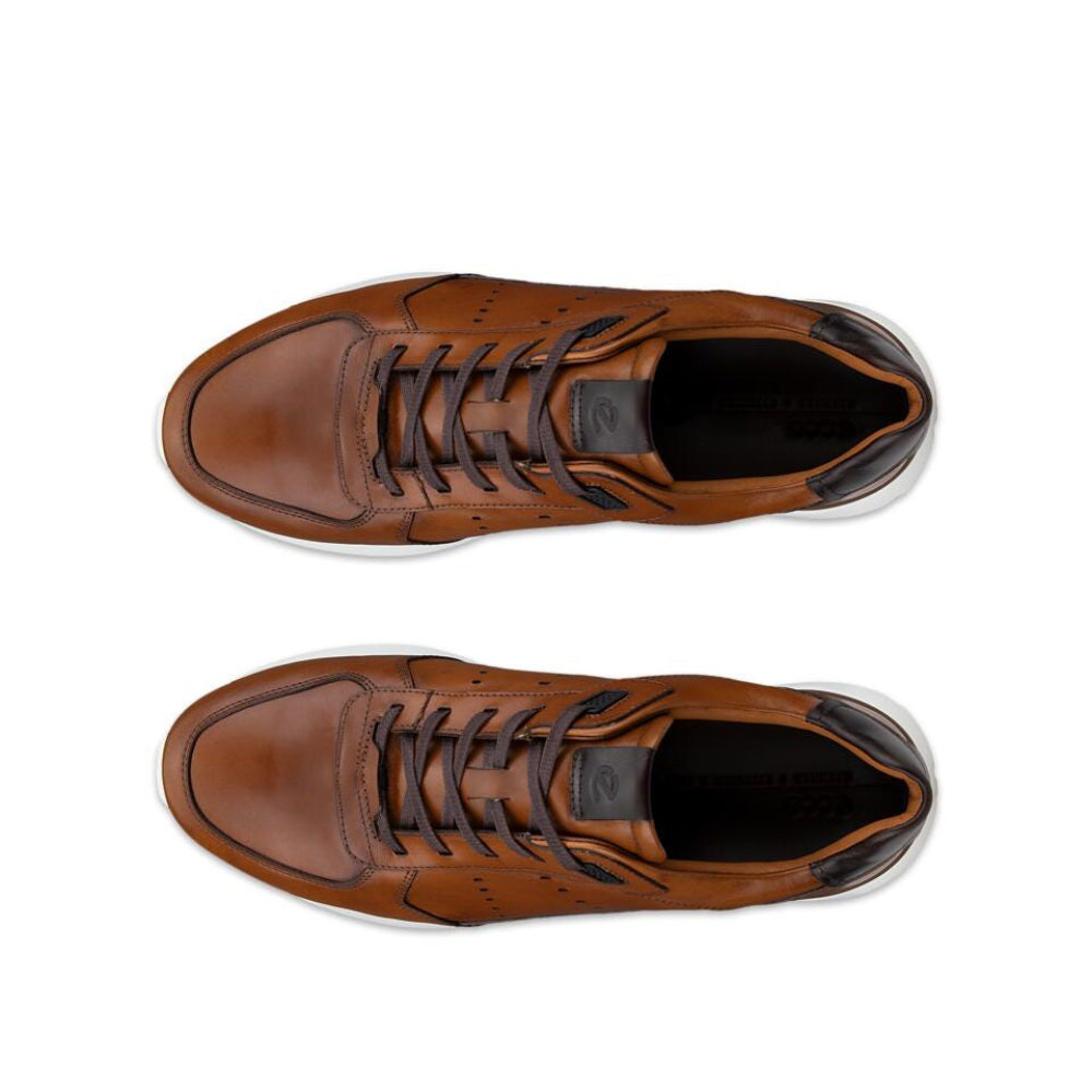 Ecco Astir Neo Saddle/Cocoa Brown Dress Sneaker - 53492461936