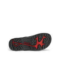Ecco Offroad Andes II M Ltd Marine Sandal - 82204412038