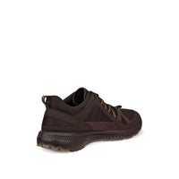 ECCO Terracruise II 843064 58290 Gore-Tex Mocha Shoes