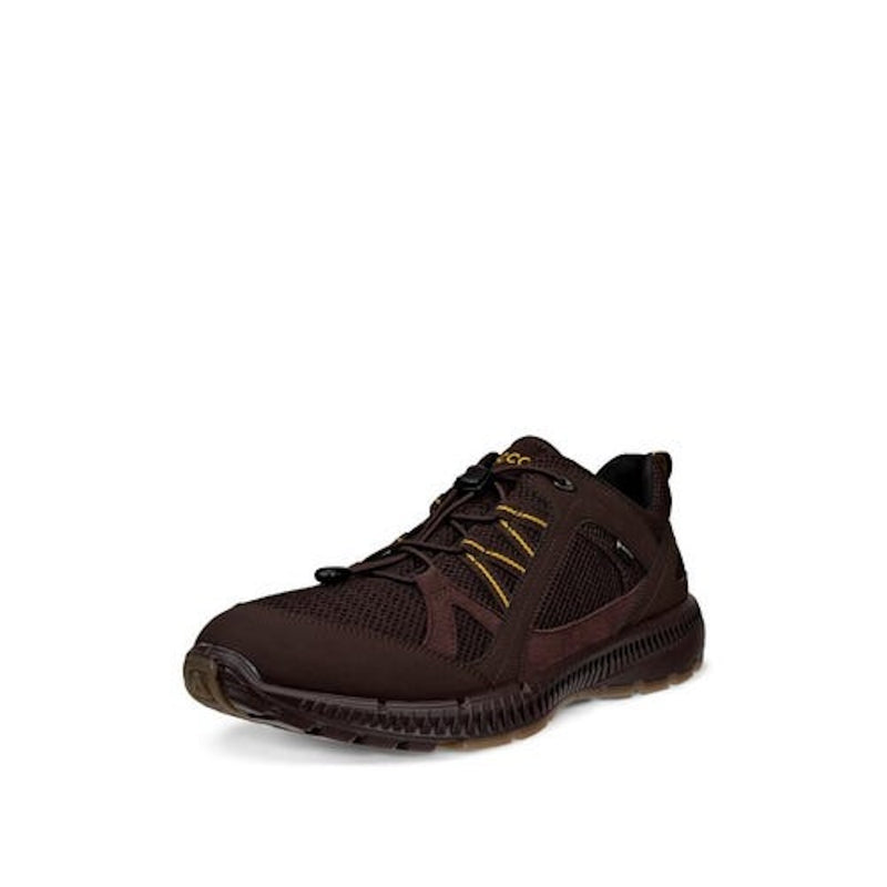 ECCO Terracruise II 843064 58290 Gore-Tex Mocha Shoes